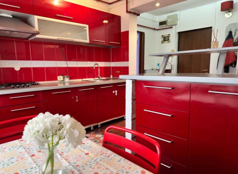 Colentina, Rau Maior Vasile Bacila